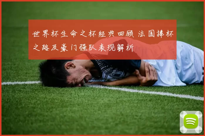 世界杯生命之杯经典回顾 法国捧杯之路及豪门强队表现解析