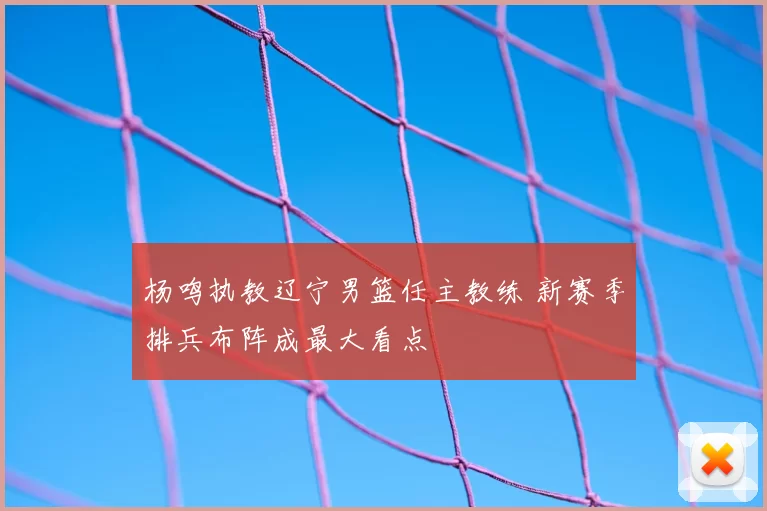 杨鸣执教辽宁男篮任主教练 新赛季排兵布阵成最大看点