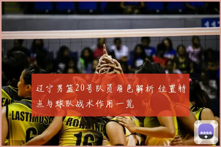 辽宁男篮20号队员角色解析 位置特点与球队战术作用一览