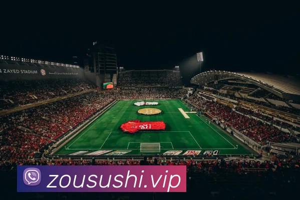 数据防护可视化